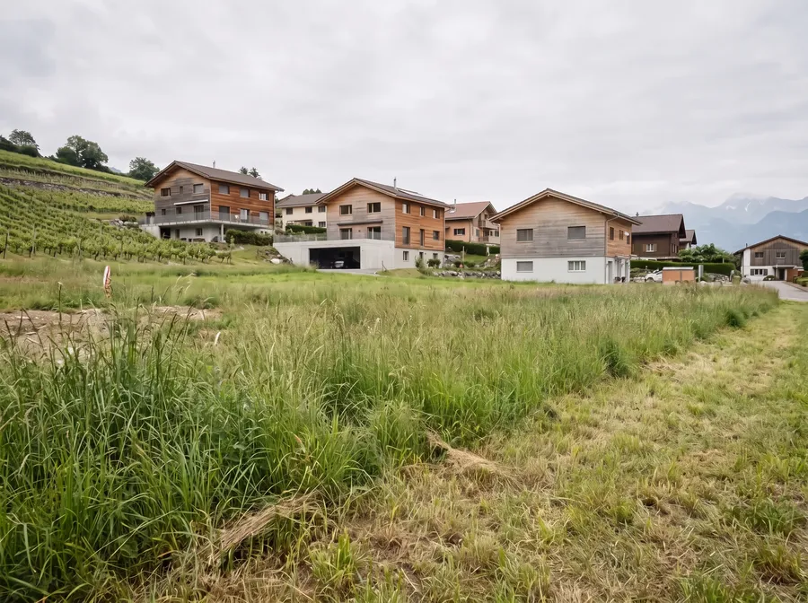 Une parcelle en herbe encore vide, devant un hameau vaudois et son coteau de vigne